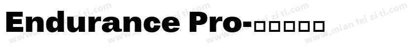 Endurance Pro字体转换